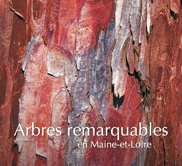 arbres remarquables