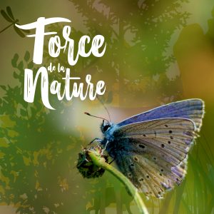 Force de la nature