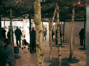 Exposition "Arbres remarquables de Maine-et-Loire“